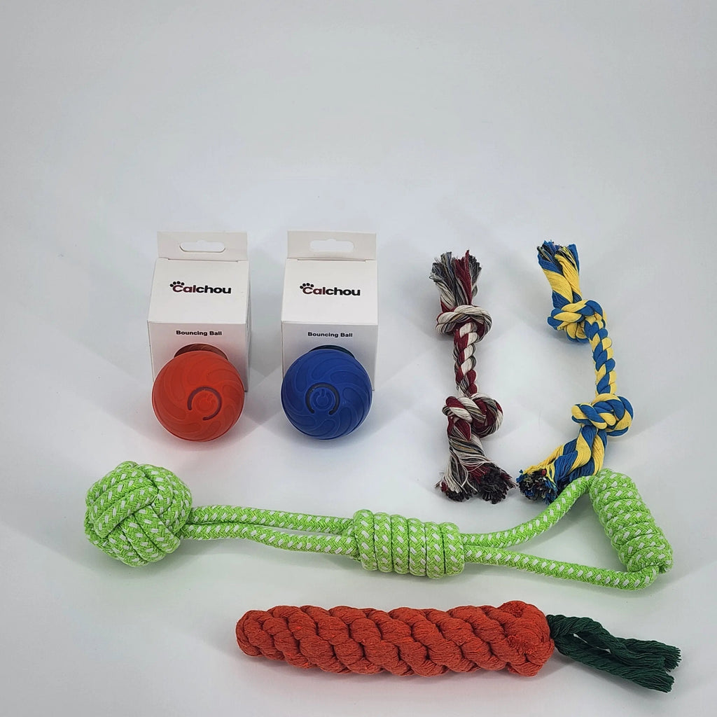 Lot de 6 jouets pour chiens Calchou