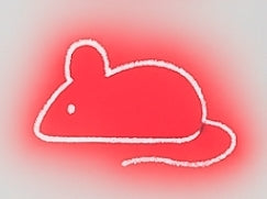 Laser multifonctions pour chats Calchou