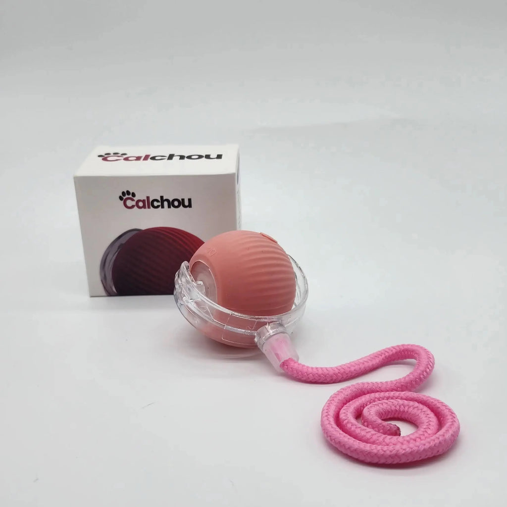 Balle interactive rose pour chat Calchou avec corde, jouet rechargeable stimulant l’instinct de jeu