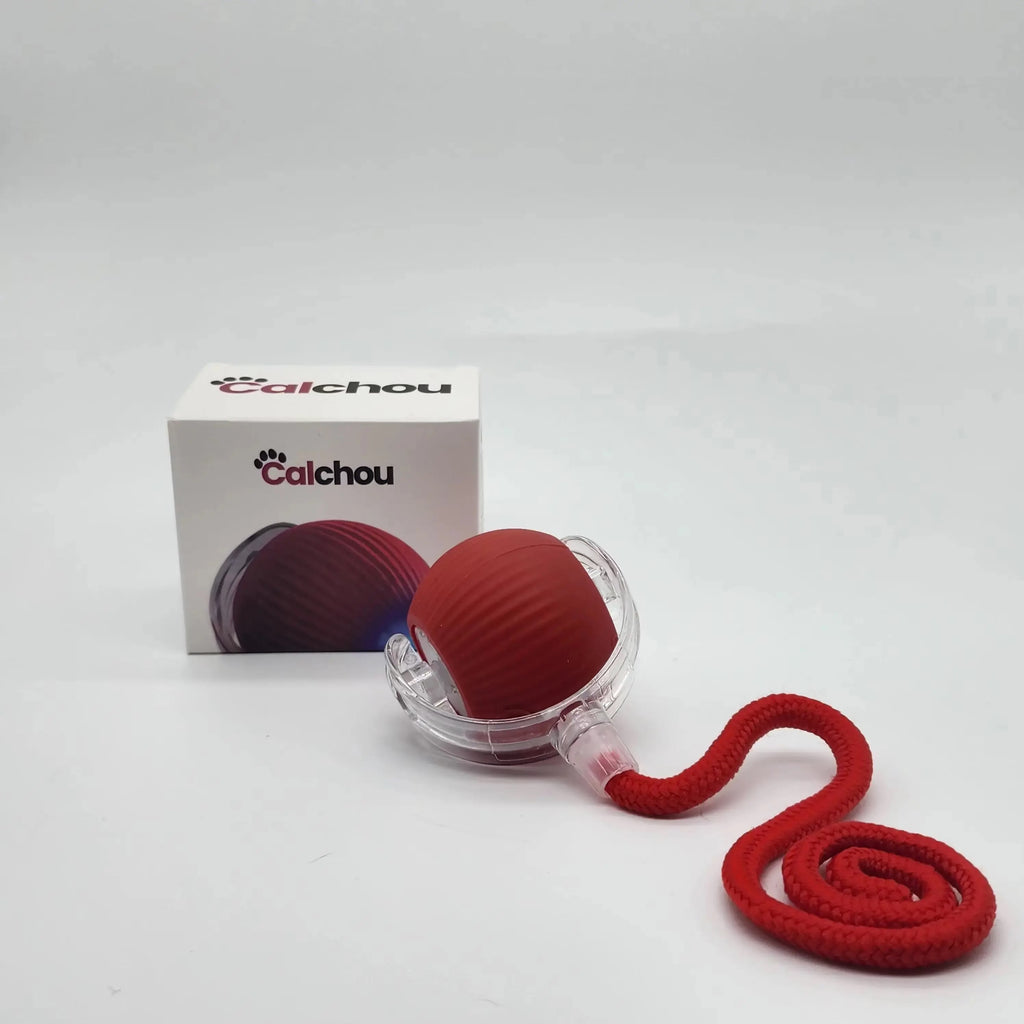 Balle interactive rouge pour chat Calchou avec corde, jouet rechargeable stimulant l’instinct de jeu, conçue pour le jeu autonome et interactif