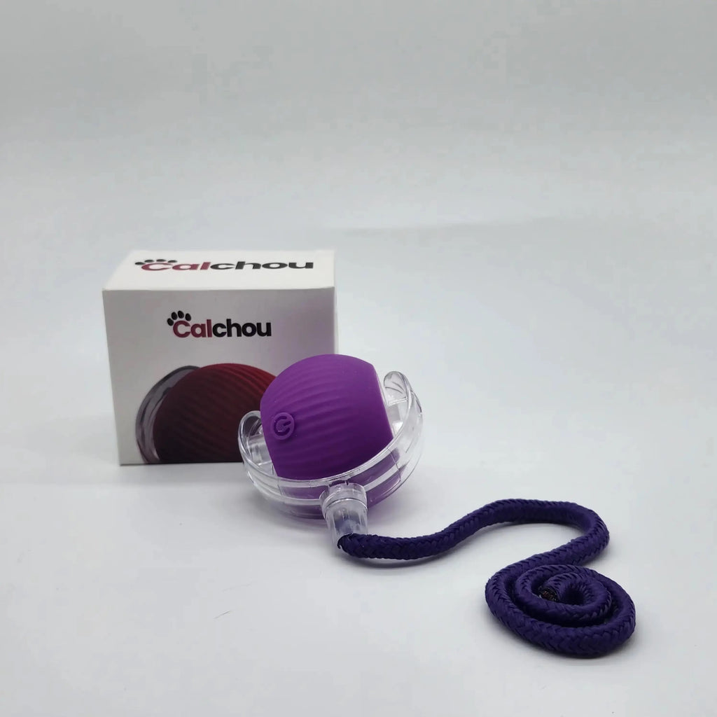 Balle interactive violette pour chat Calchou avec corde, jouet rechargeable stimulant l’instinct de jeu, idéale pour chats actifs et joueurs
