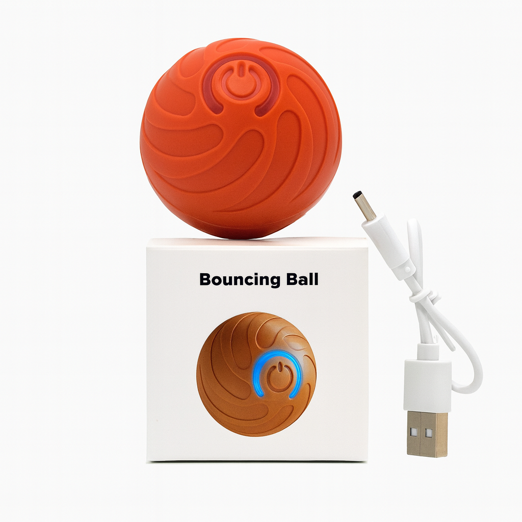 Lot de 6 jouets pour chiens Calchou