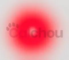 Laser multifonctions pour chats Calchou