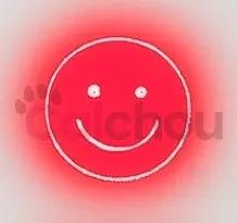 Laser multifonctions pour chats Calchou