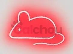 Laser multifonctions pour chats Calchou