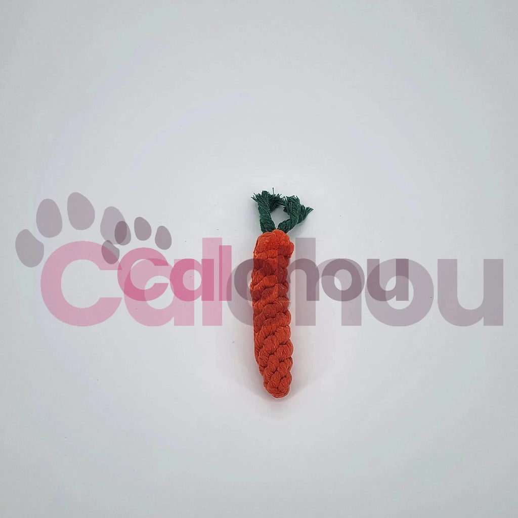 Lot de 4 cordes pour chiens Calchou