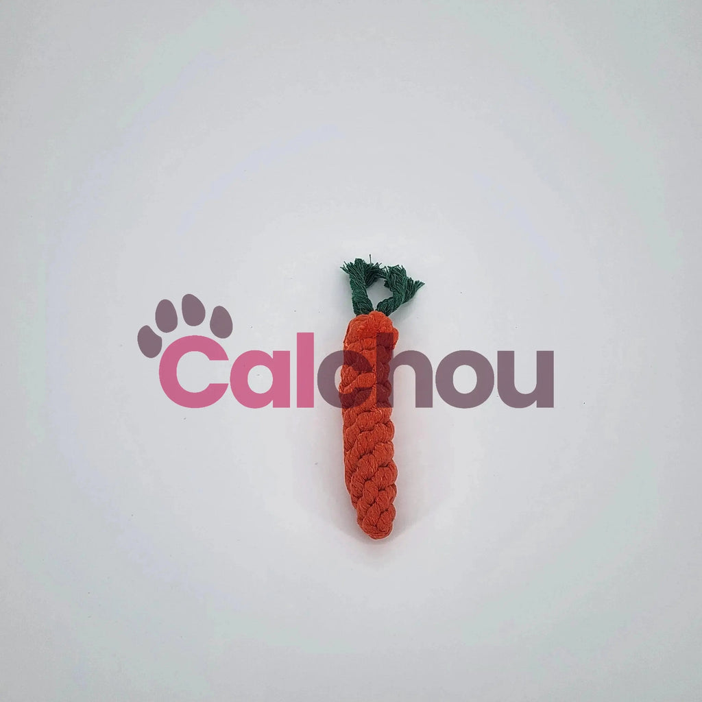 Lot de 4 cordes pour chiens Calchou