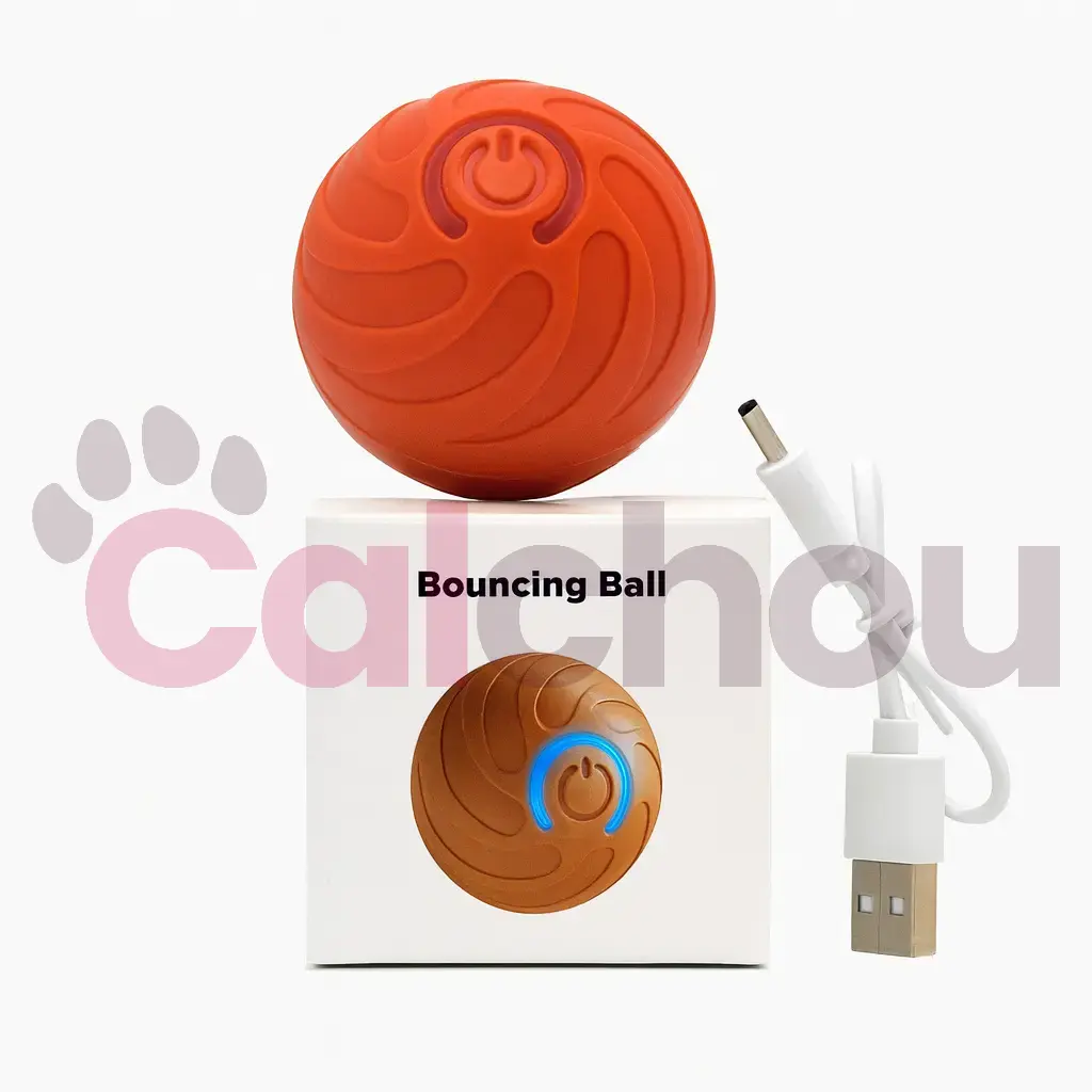 Lot de 6 jouets pour chiens Calchou