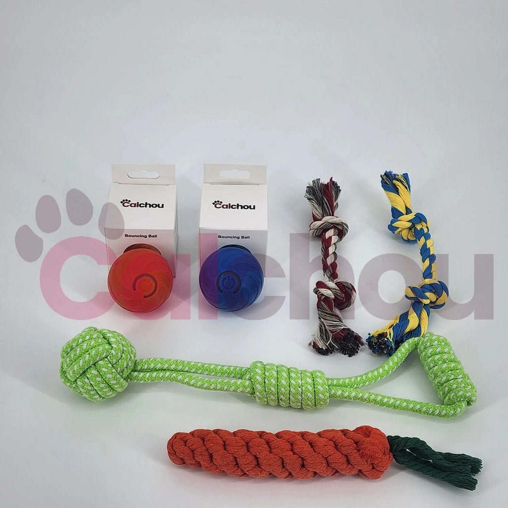 Lot de 6 jouets pour chiens Calchou