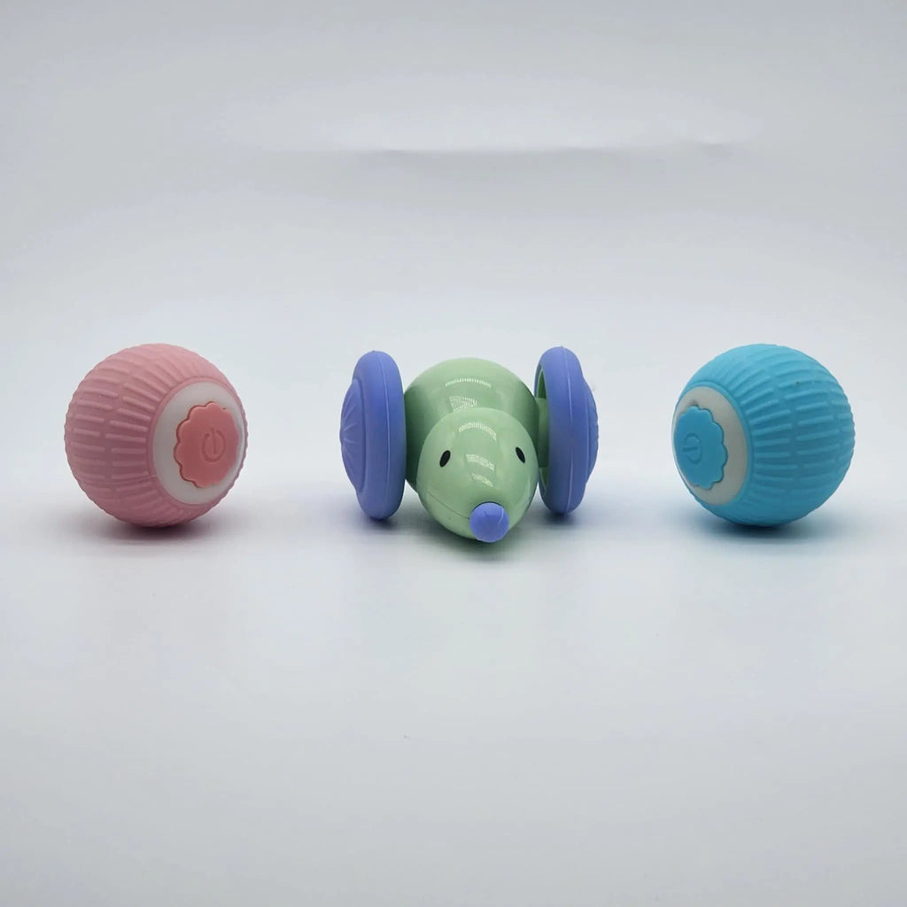 Pack énergie boost pour chats