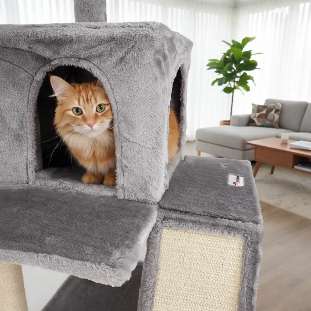 Arbre à chat Filou Calchou