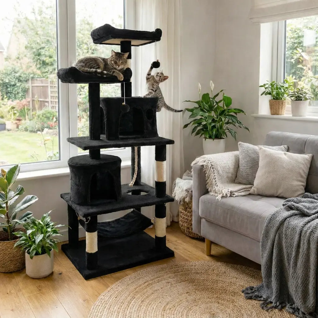 Arbre à chats Mistigris Calchou