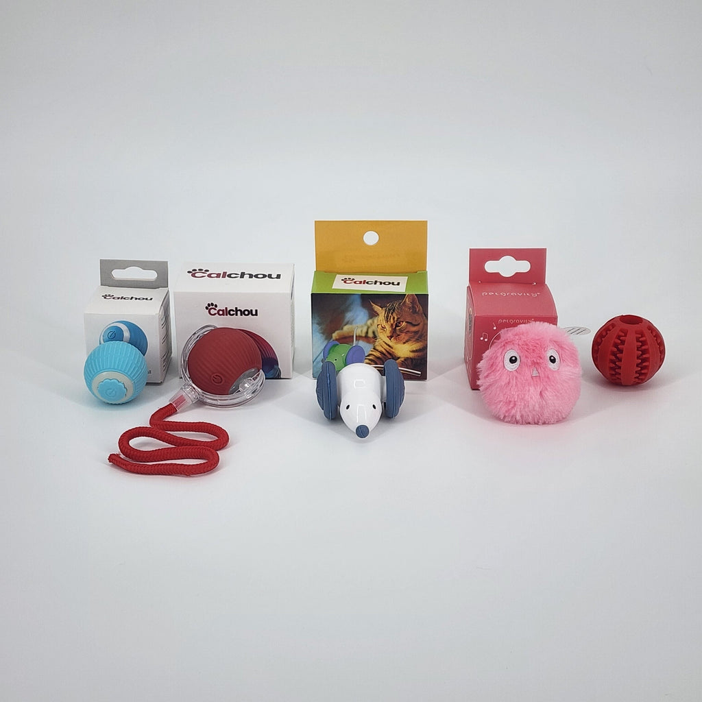 Lot de jouets interactif pour chats Calchou